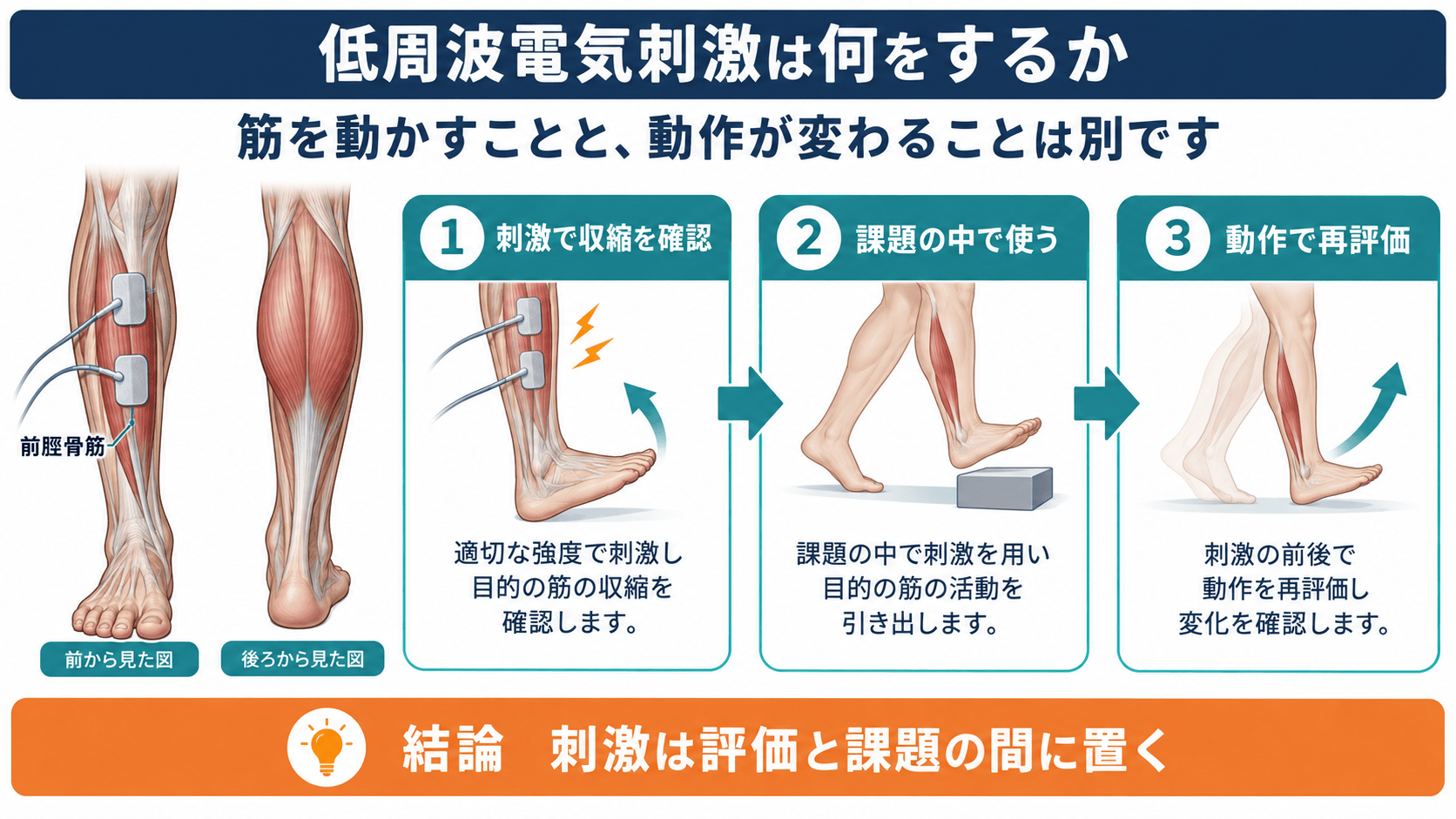 低周波電気刺激を筋収縮確認、課題内使用、動作再評価へつなげる図解