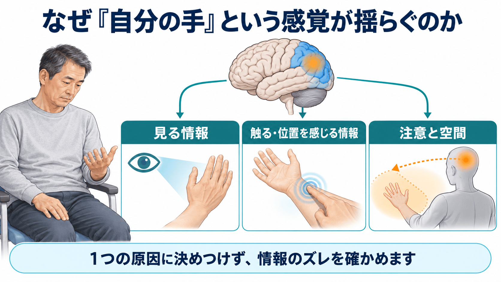 脳卒中後に身体の所有感が揺らぐ時に、視覚、感覚、注意を分けて考える図