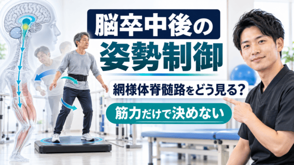 脳卒中後の姿勢制御と網様体脊髄路｜筋力だけで決めず、乱れへの反応から評価する