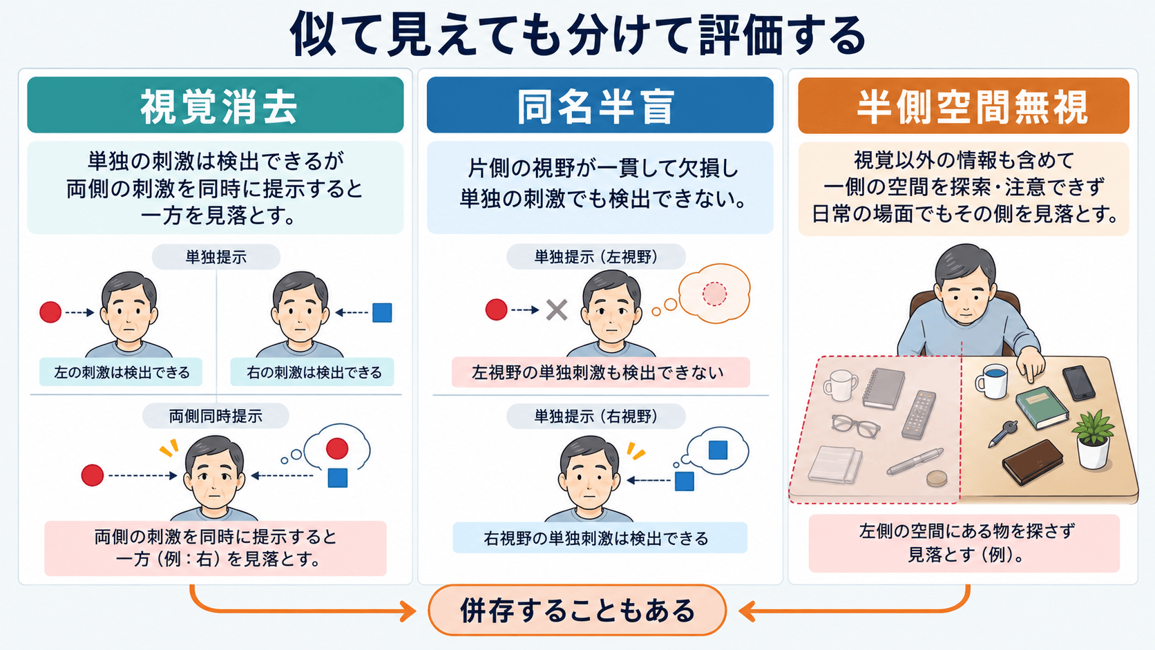 視覚消去現象と同名半盲と半側空間無視を区別する評価分岐図