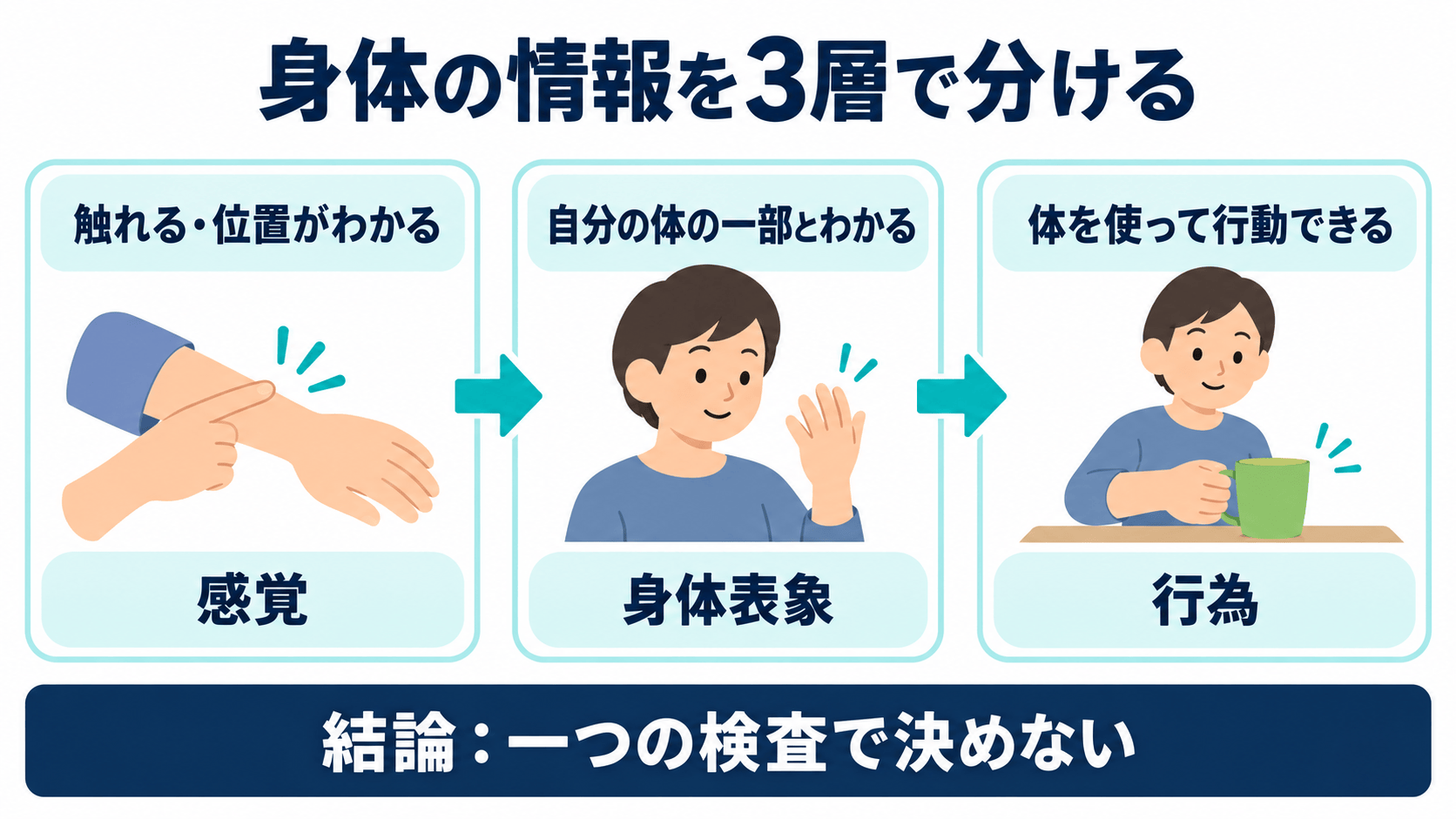 身体の情報を感覚、身体表象、行為に分けて考える図